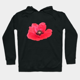 Poppy Hoodie